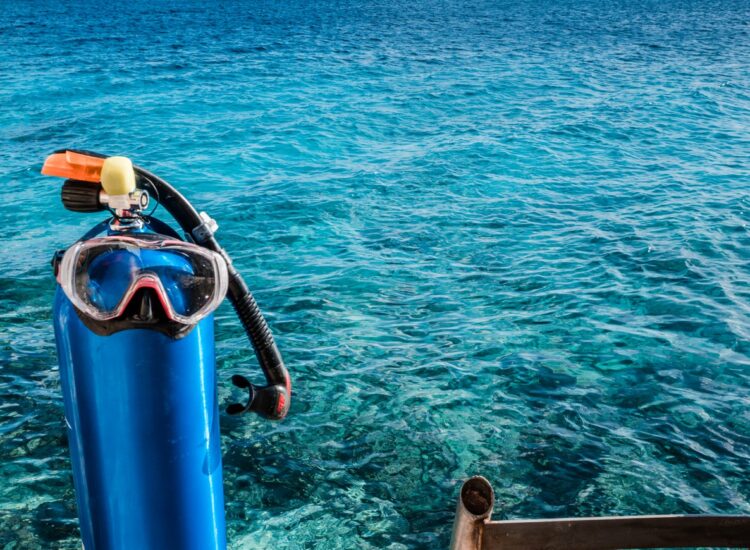 shore diving from stairs into the bonairian ocean