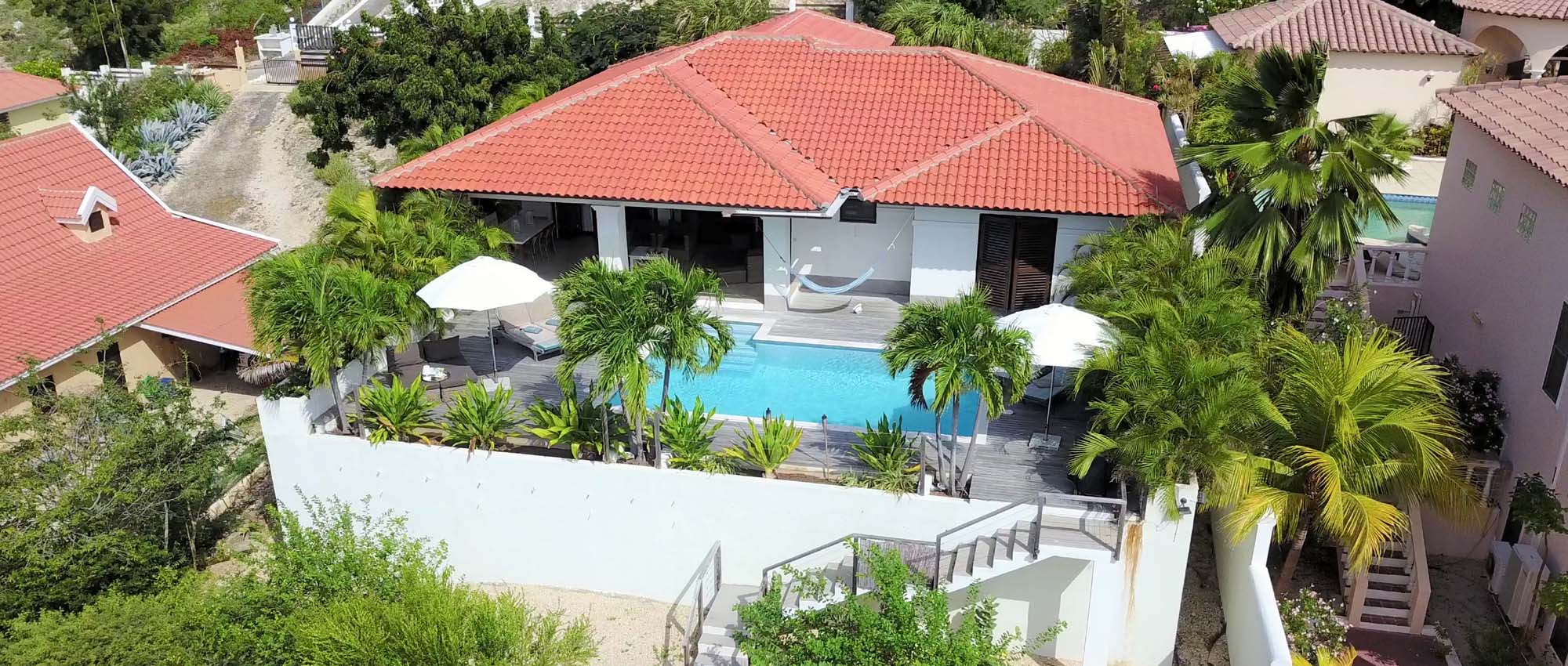 Aerial shot of backyard pool area surrounded by palm trees