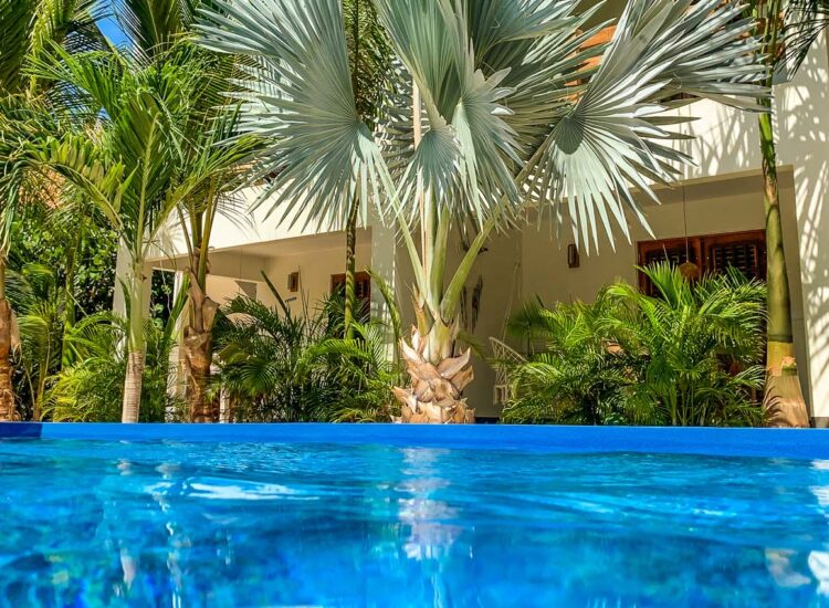 Outdoor pool area surrounded by palm trees