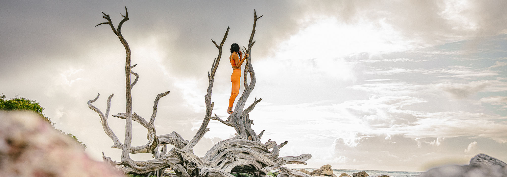 Woman standing on a tree branch on the shore