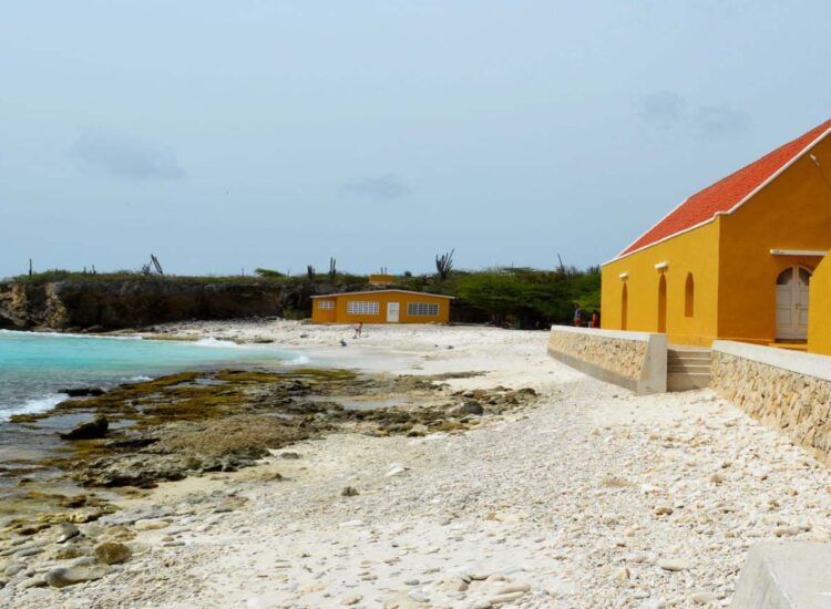 Dark yellow buildings on the ocean shore