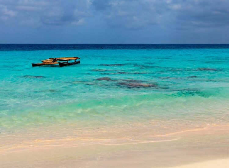 Beach shore during the day