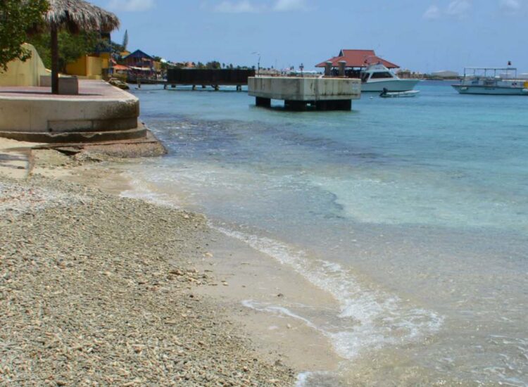 Small beach with wooden pier in the background
