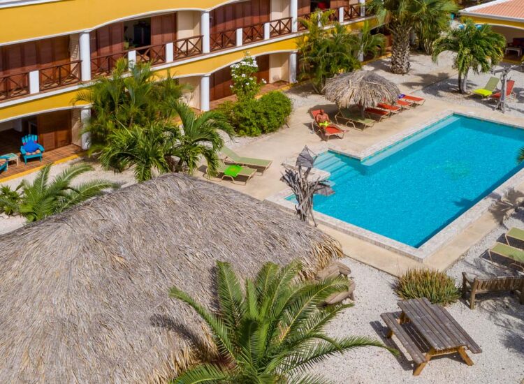 Aerial view of outdoor pool area with sunbeds and cabanas