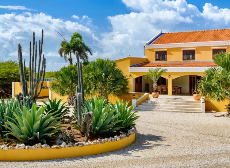 Yellow villla surrounded by various plants