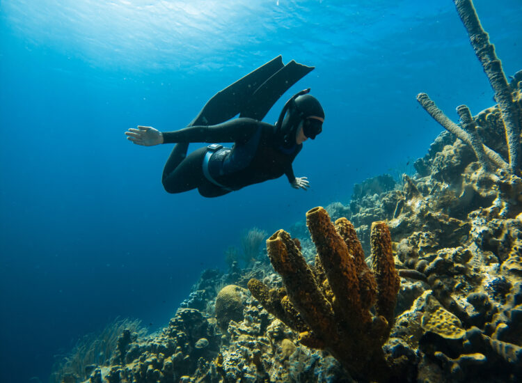 Person freediving