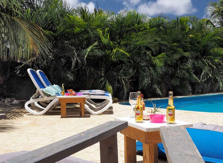 Outdoor pool area surrounded by lounge chairs and palm trees