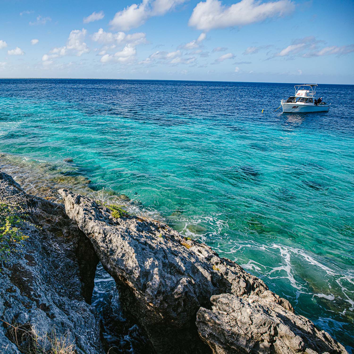 Aerial view of island coast