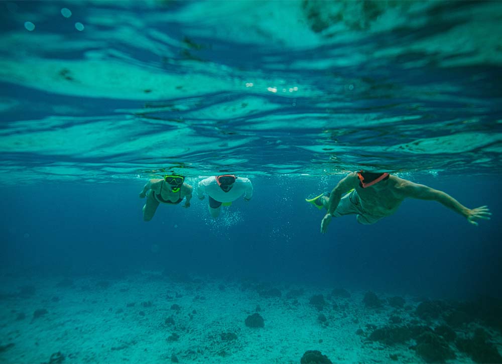 Male and woman snorkeling