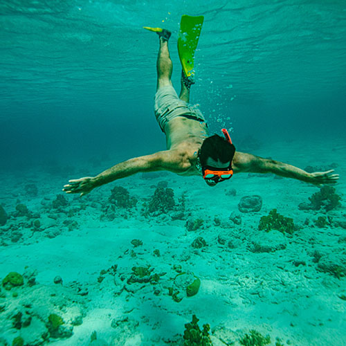 Man snorkeling and diving underwater in bonaire