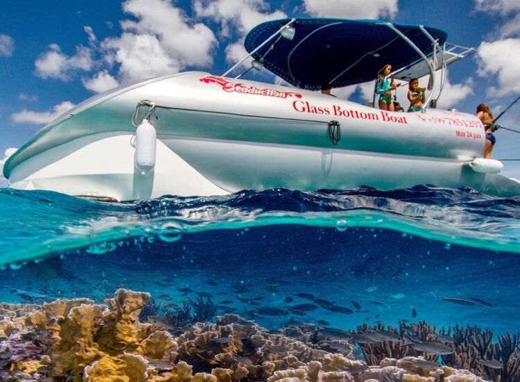 Glassbottom boat with corals