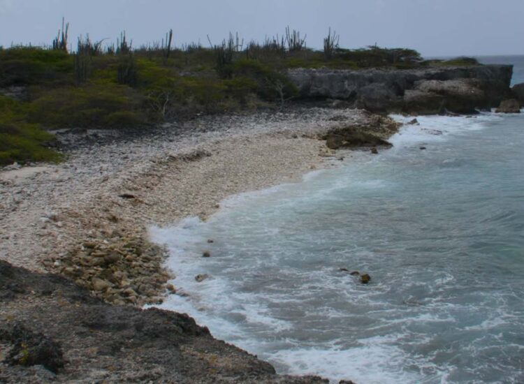 Waves crashing on the shore