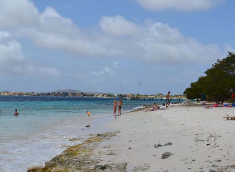 Multiple people enjoying the beach
