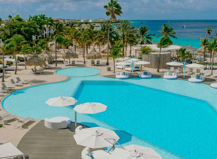 Aerial view of outdoor pool area overlooking the ocean surrounded by palm trees and cabanas