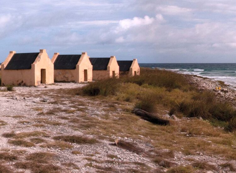 Yellow huts lined up by the ocean