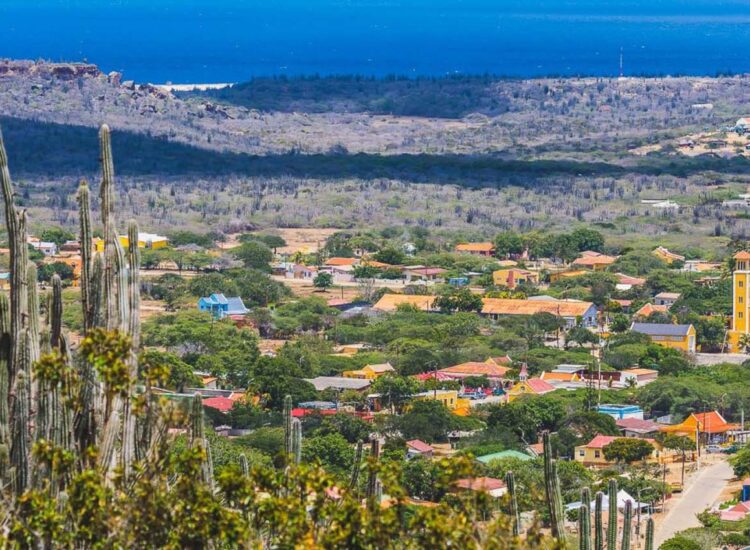 Aerial view of Rincon