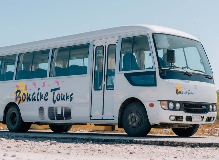 White bus with Bonaire Tours logo parked by yellow huts