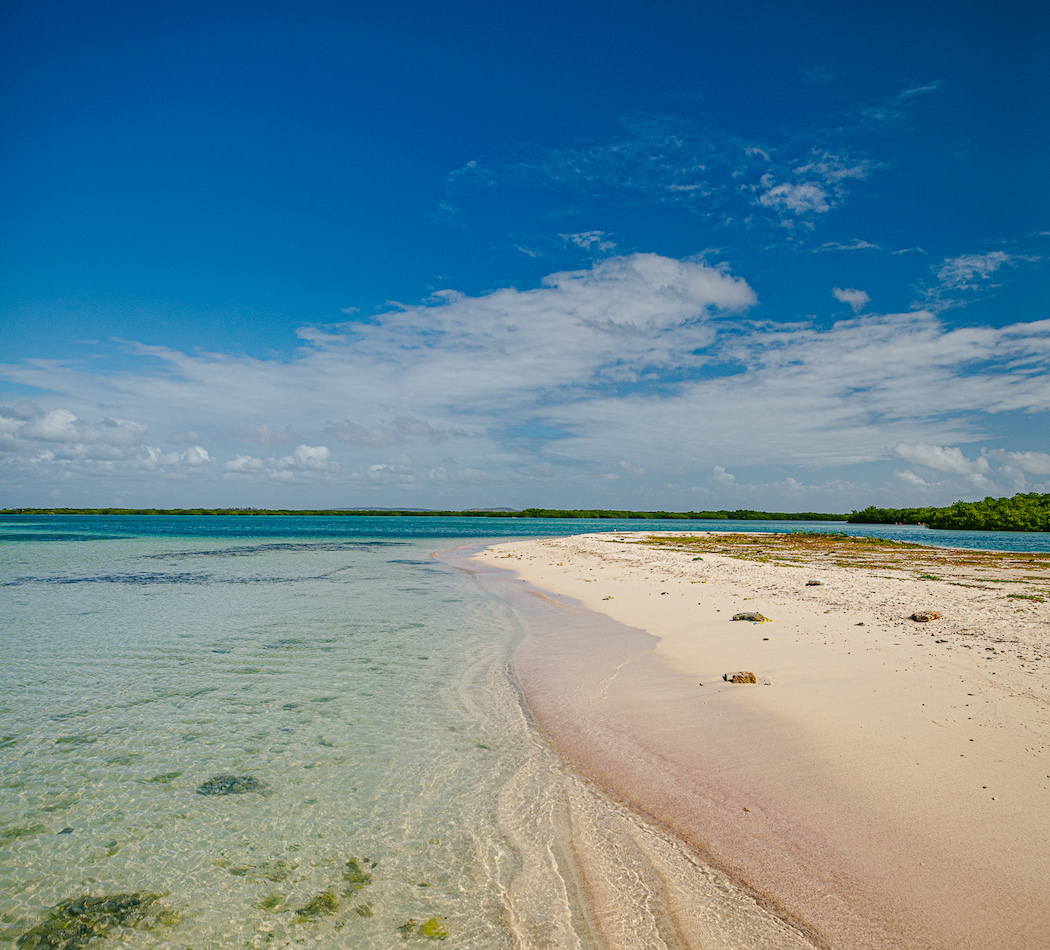 Clear beach water on sunny day
