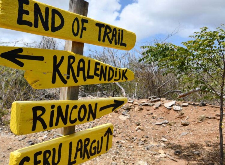Close up shot of yellow signs