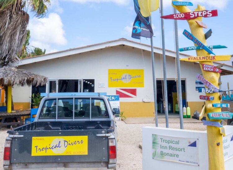 Two trucks parked outside business establishment