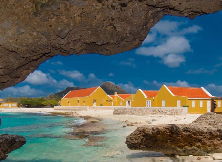 Cactus lined pathway leading to a yellow house
