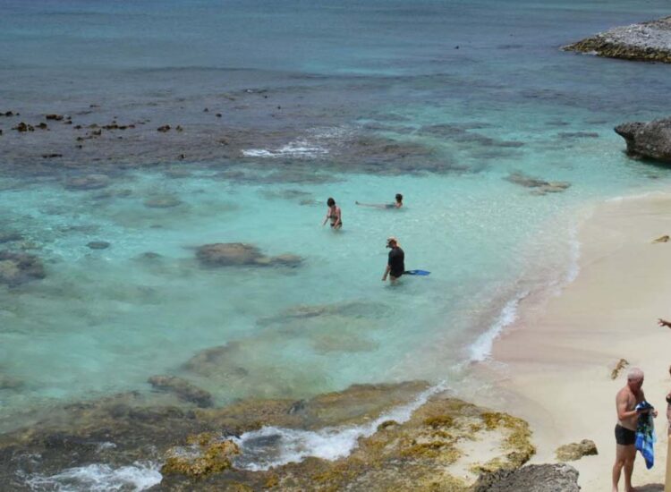 Multiple people enjoying the beach