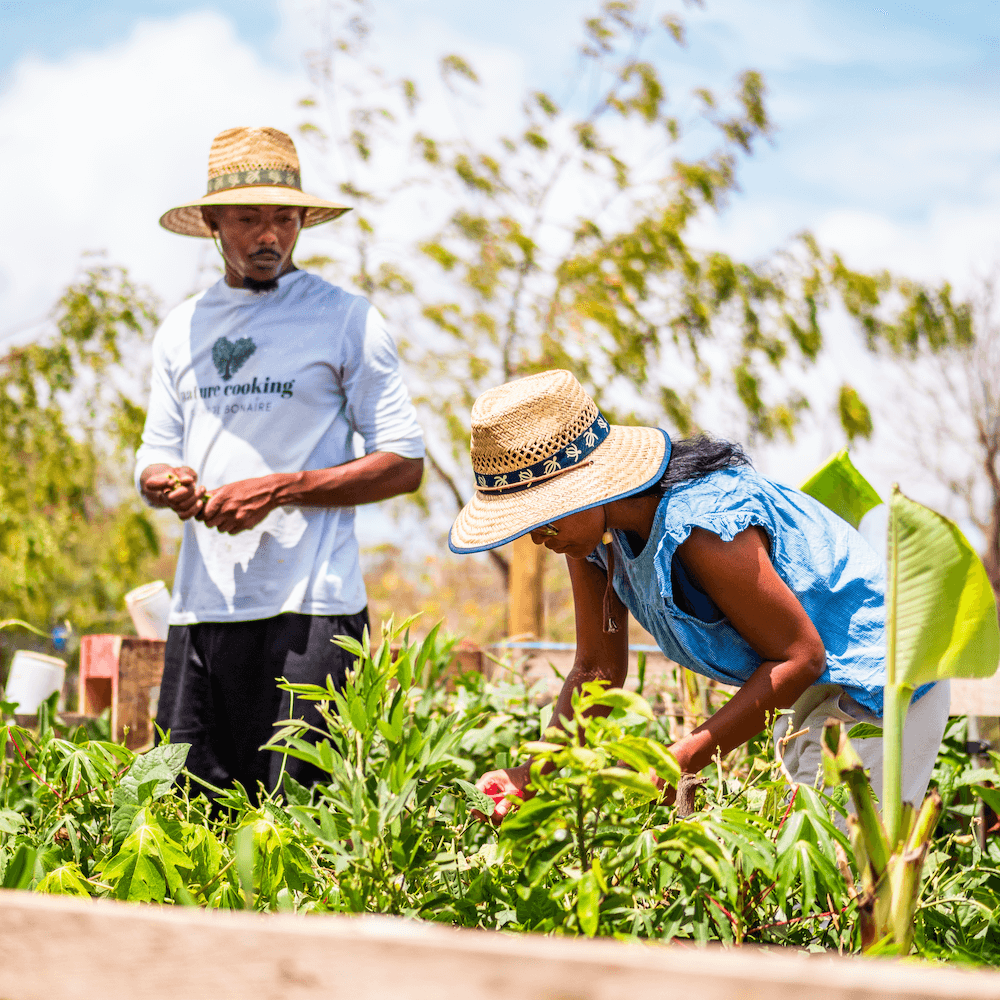 Man and woman working in garden